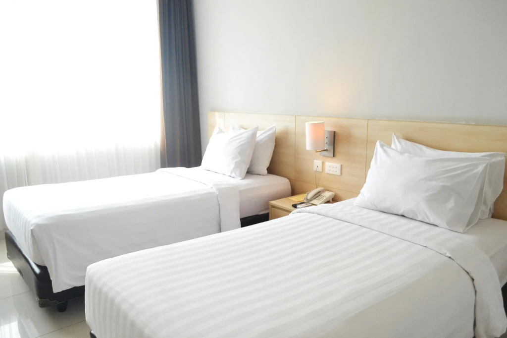 Deluxe Double room (twin beds)