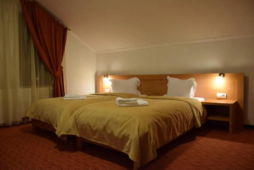 Standard Double room (twin beds)
