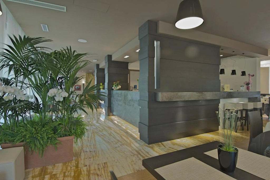 Zen Hotel Versilia - Général