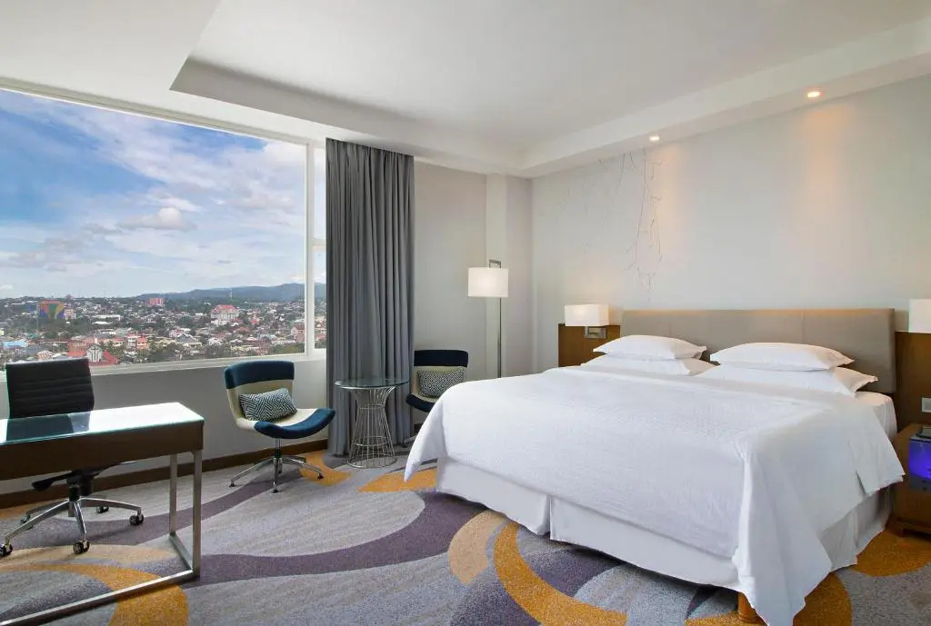 Deluxe Suite with city view