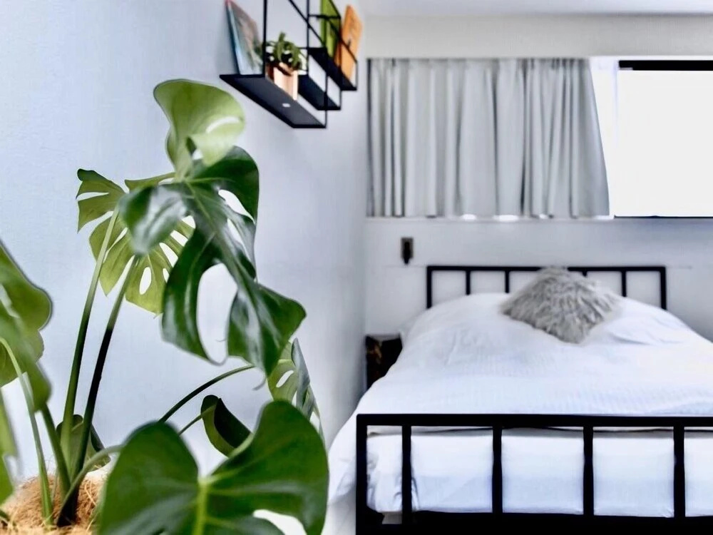 Balcony & Terrace