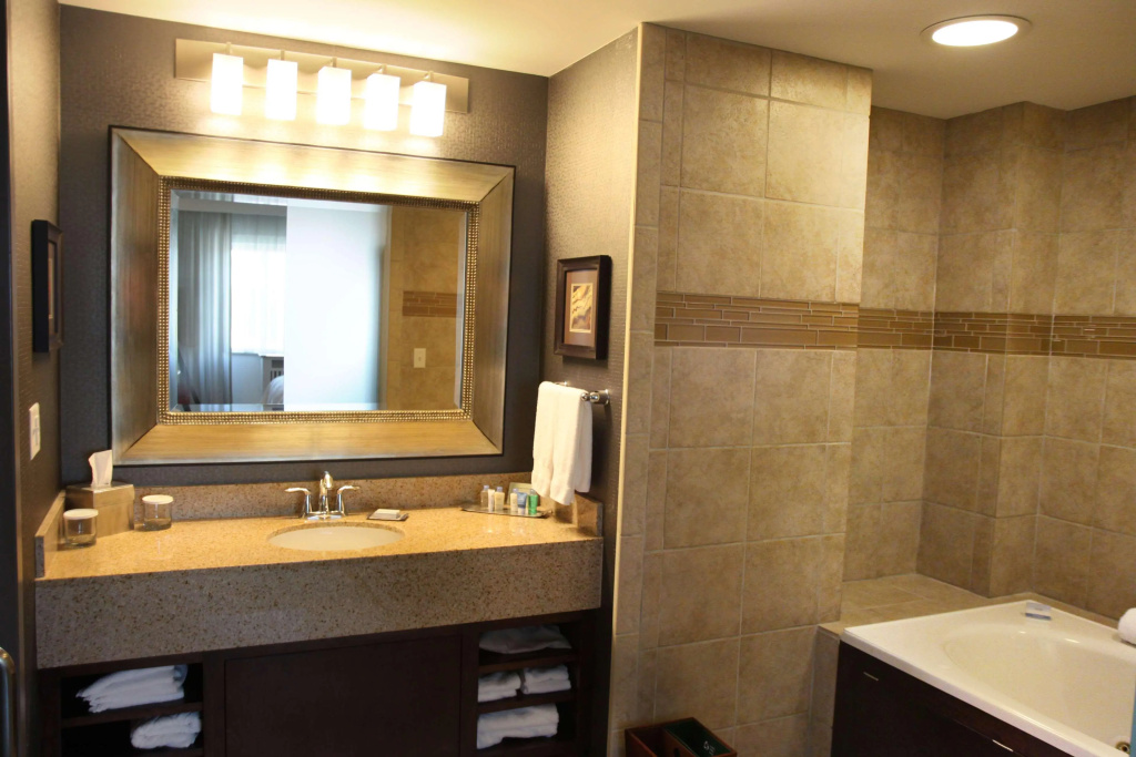 DoubleTree by Hilton Rochester Mayo Clinic Area - Général