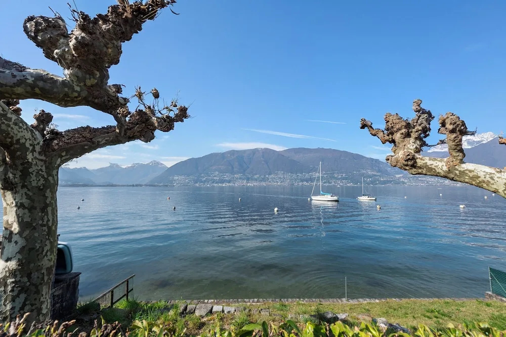 Garden on the Lake 1