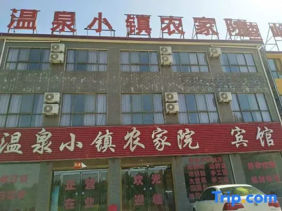 Suiping Hot Spring Town Farm Stay Hotel in Zhumadian