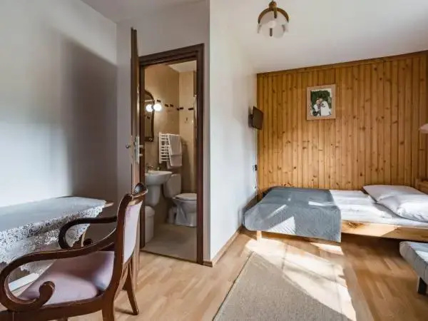 Standard Double room with mountain view (full double bed)