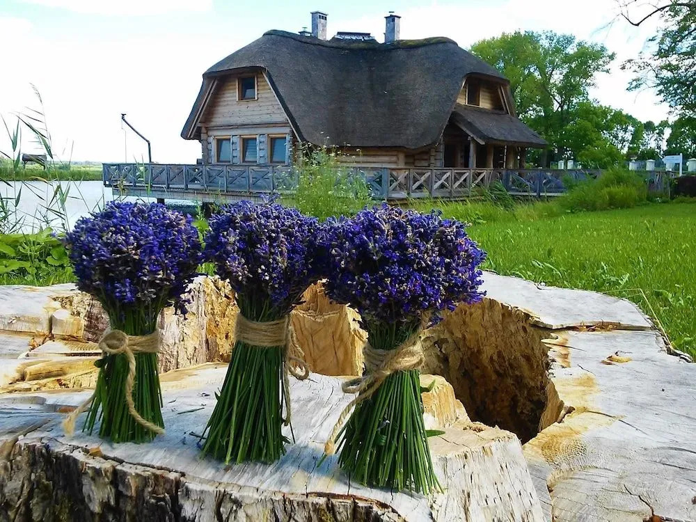 Hotel przy Dworze Spa & Wellness - Général