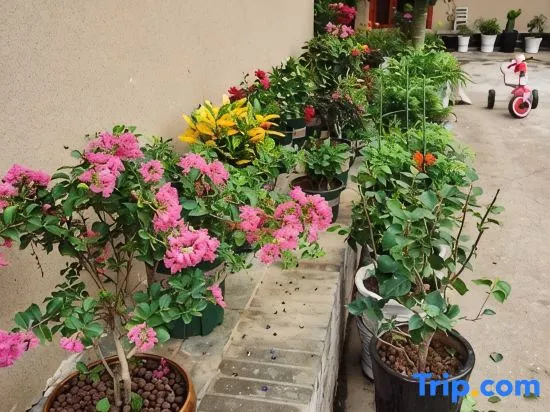Shaoshan Longqi Homestay