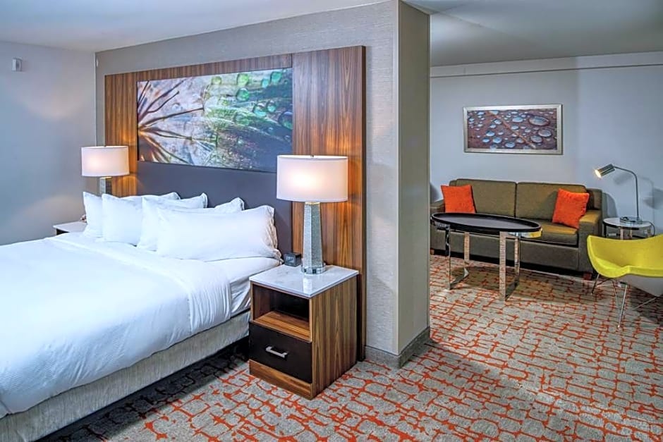 Double Family Suite (full double bed) — room photo 3