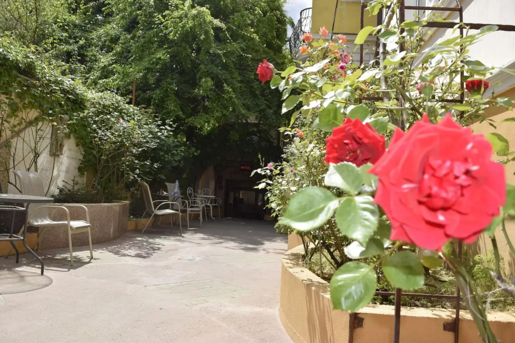 Hotel photo 13