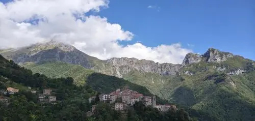 Pania forata hostel