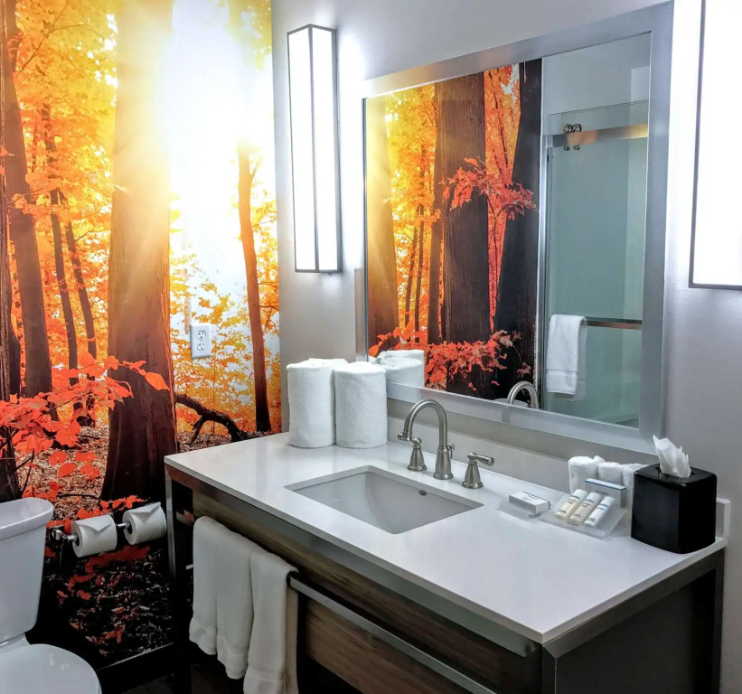 Hilton Garden Inn Minneapolis Airport Mall of America - Général