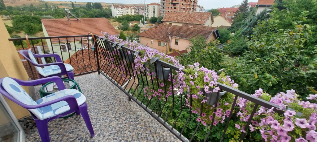 Apartment Vladan