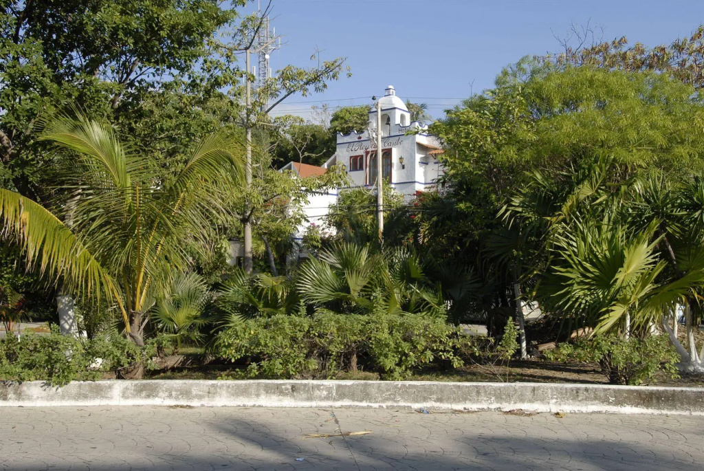 Eco-Hotel El Rey del Caribe - Général