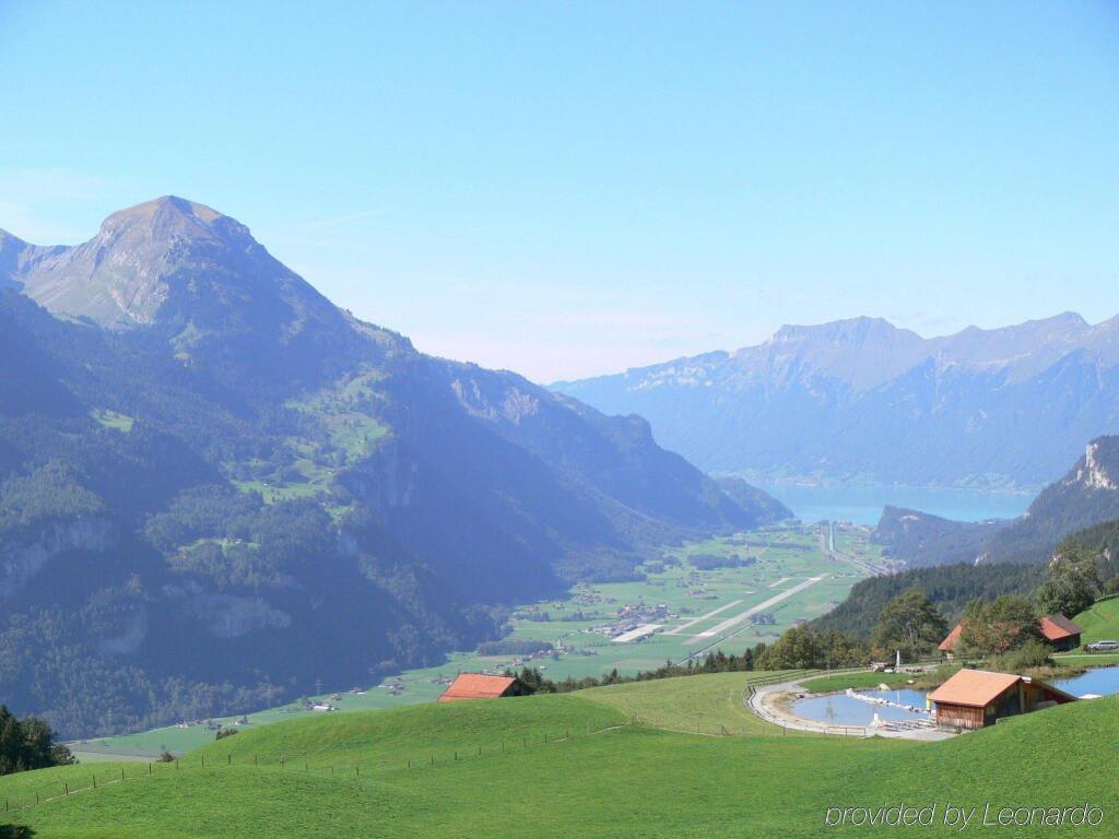 Image 6