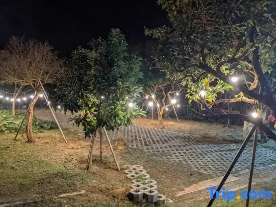 Lisha Homestay