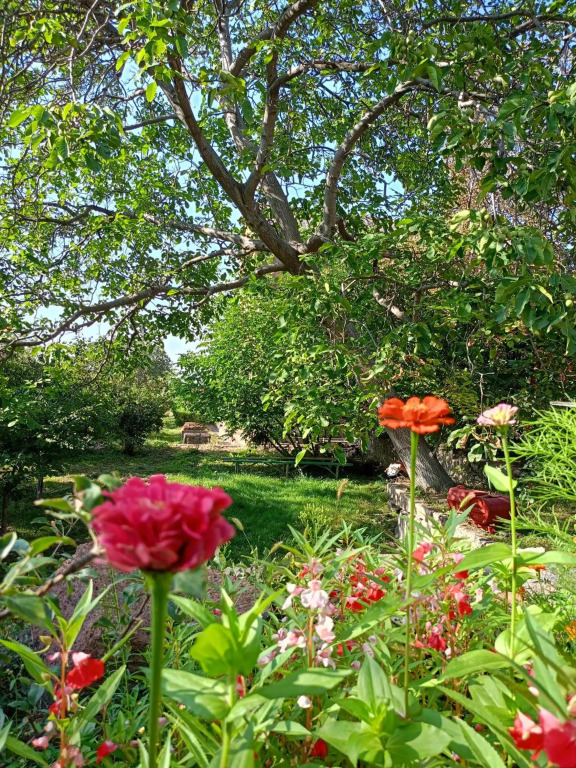 Selina Guest House - фото 19