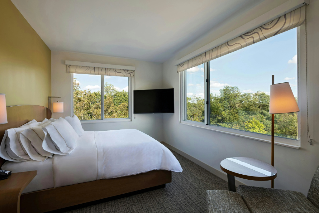 Element by Marriott Spring Valley — 3
