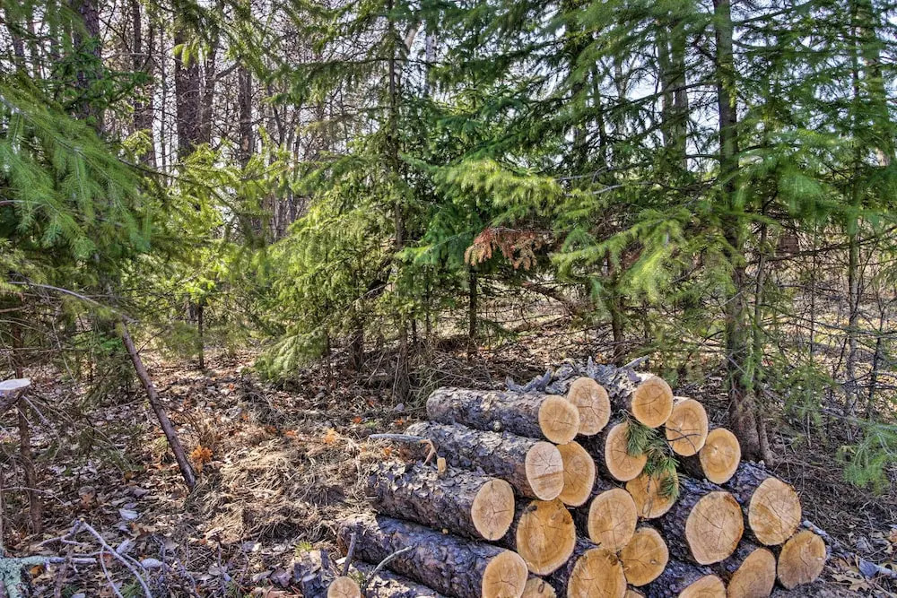 Breezy Point Cabin w/ Fire Pit - Walk to Lake — фото 5