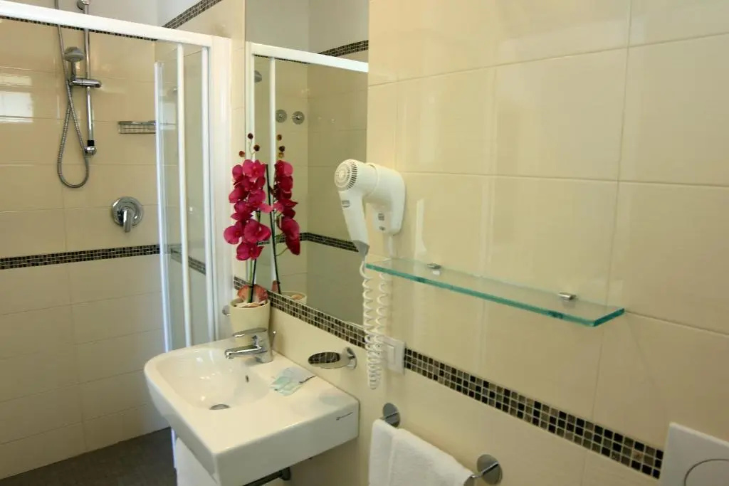 Standard Double room (full double bed)