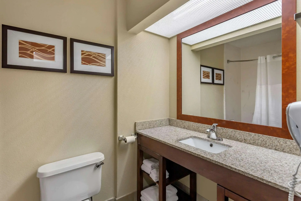 Comfort Suites At Rivergate Mall - фото 9