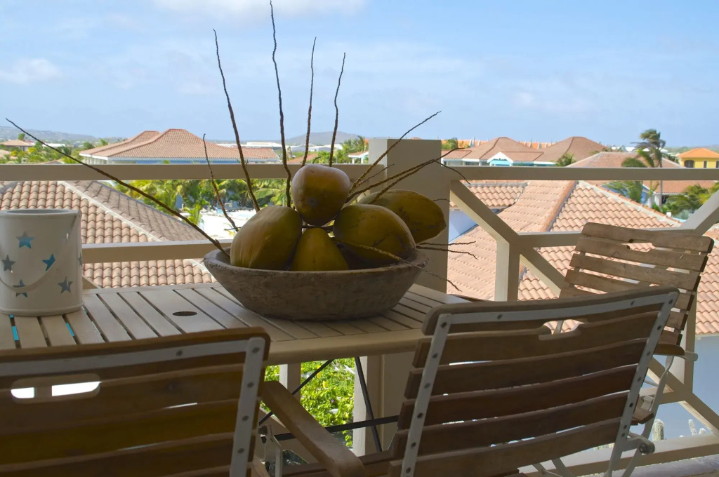 Balcony & Terrace