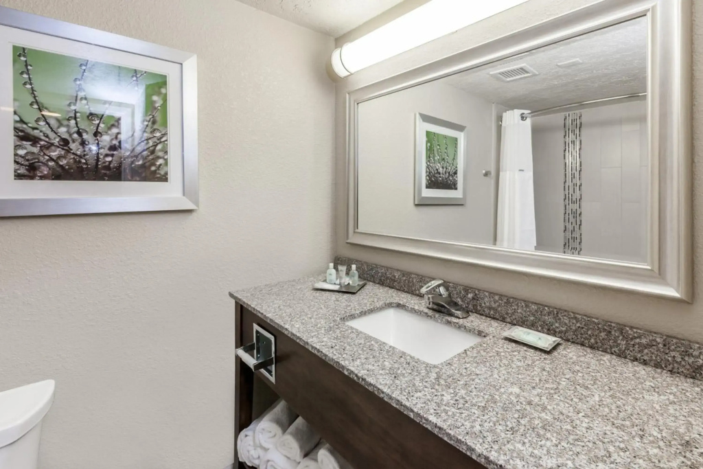 Holiday Inn Hotel & Suites Oklahoma City North by IHG - Général