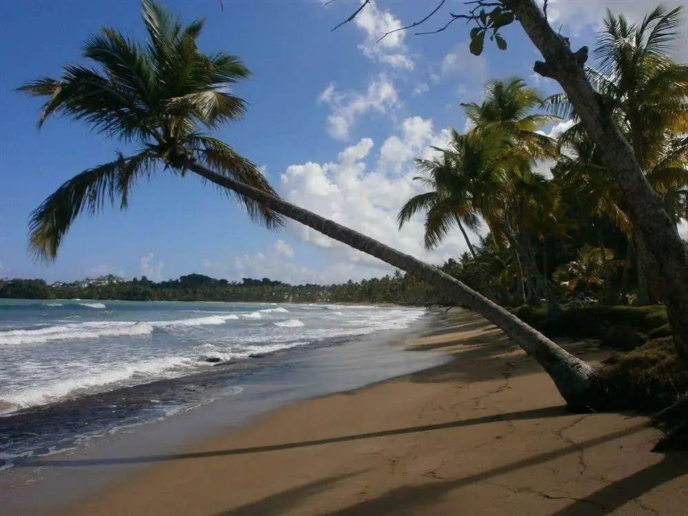 Casa Grande Beach Hotel - Général