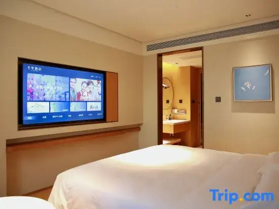 Standard Double room twin beds