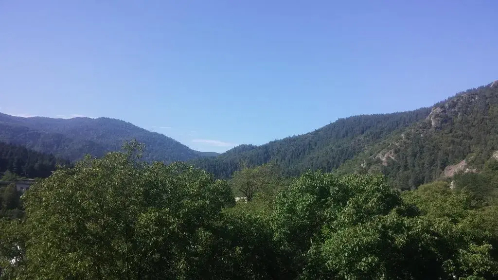 Zviad Guest House