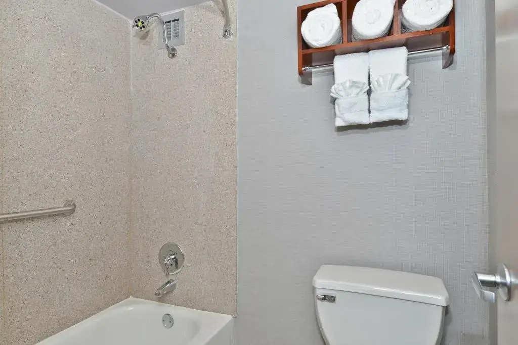 Wyndham Garden Elk Grove Village/O'Hare - Chambres