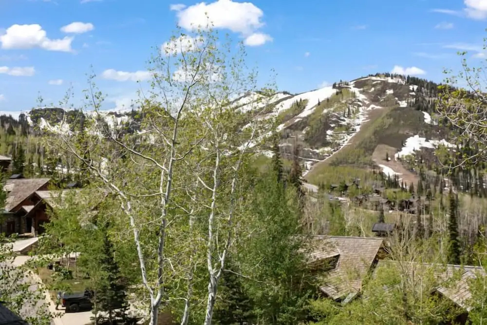 Arrowleaf Lodge - Three Bedroom Condo Residence #307 by Deer Valley Resort