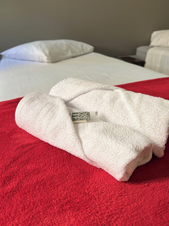 Thermas da Mantiqueira Poços de Caldas - Chambres