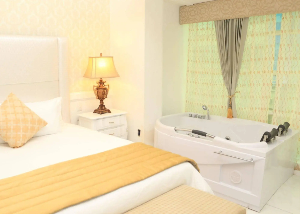Hotel Presidente Boutique - Général