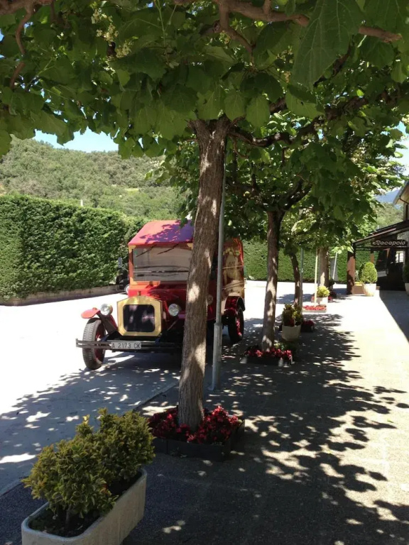 Hotel La Seu - Général