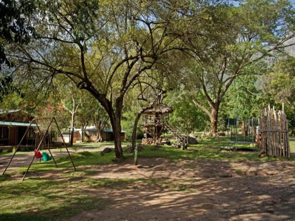 Jungle Hut Resorts - Général