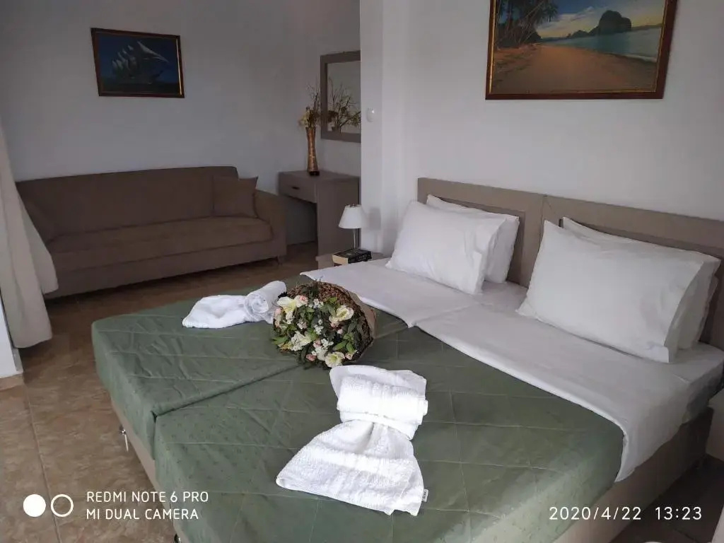 Standard Triple room with view