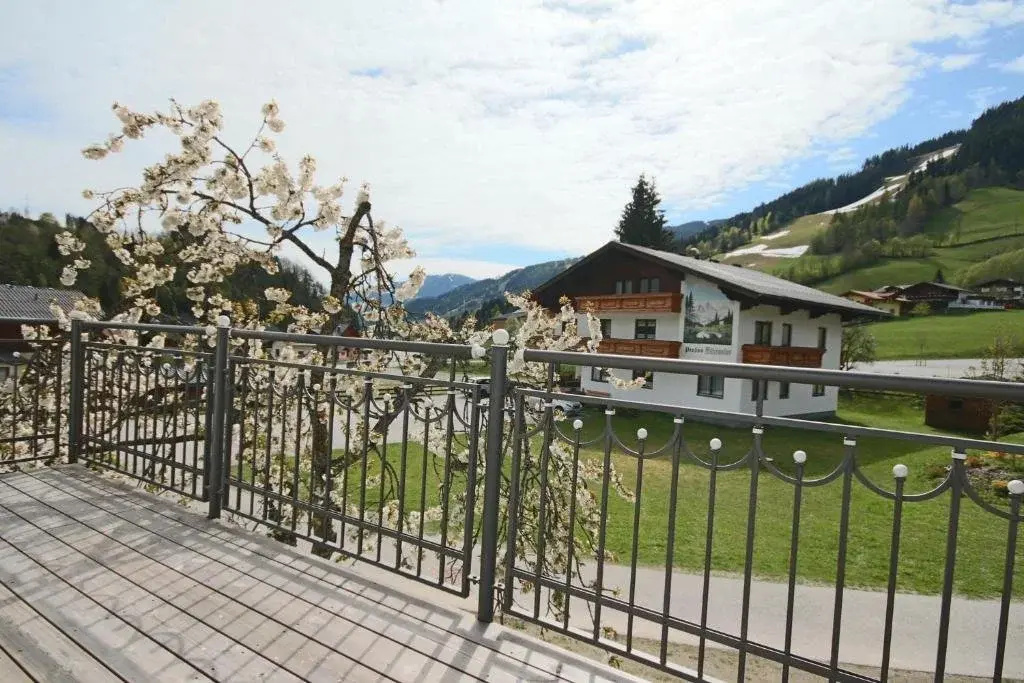 Balcony & Terrace
