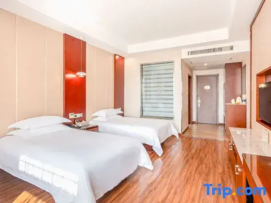 Business Double room (twin beds)