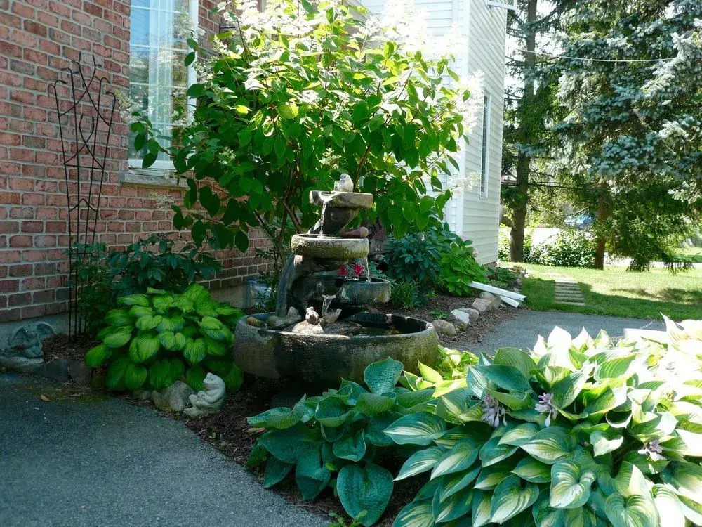 Brock Hollow Bed & Breakfast - Général
