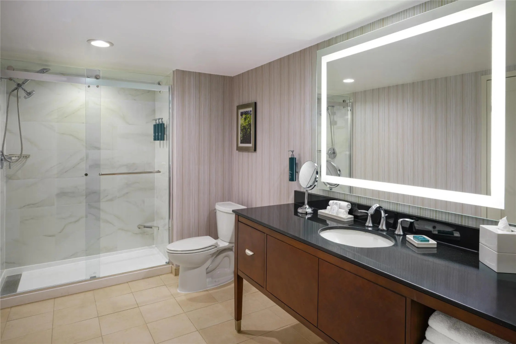 Hilton Washington DC/Rockville Hotel & Executive Meeting Ctr - Général