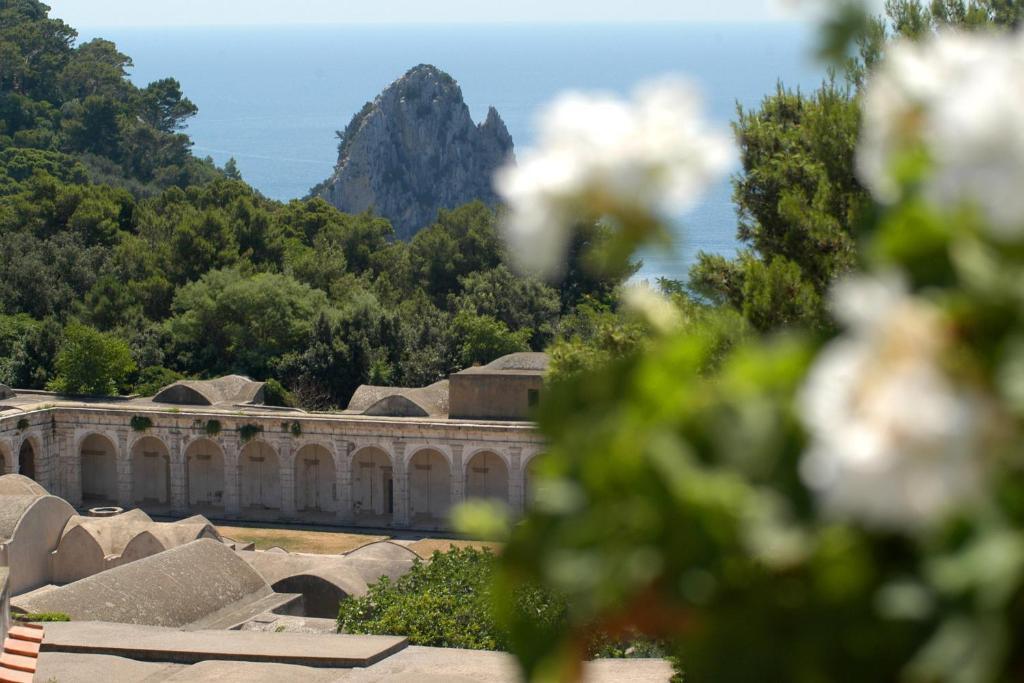 Hotel la Tosca by null