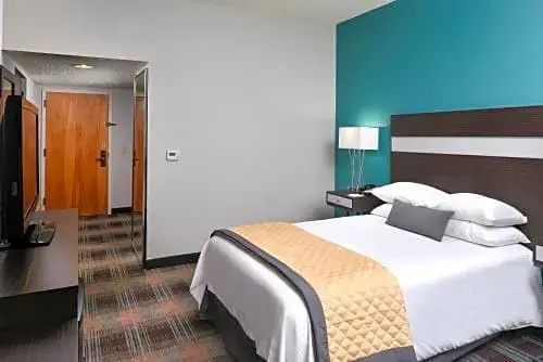Wyndham Garden Greenville Airport - Chambres