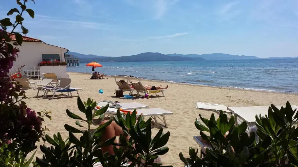 Beach & Waterfront
