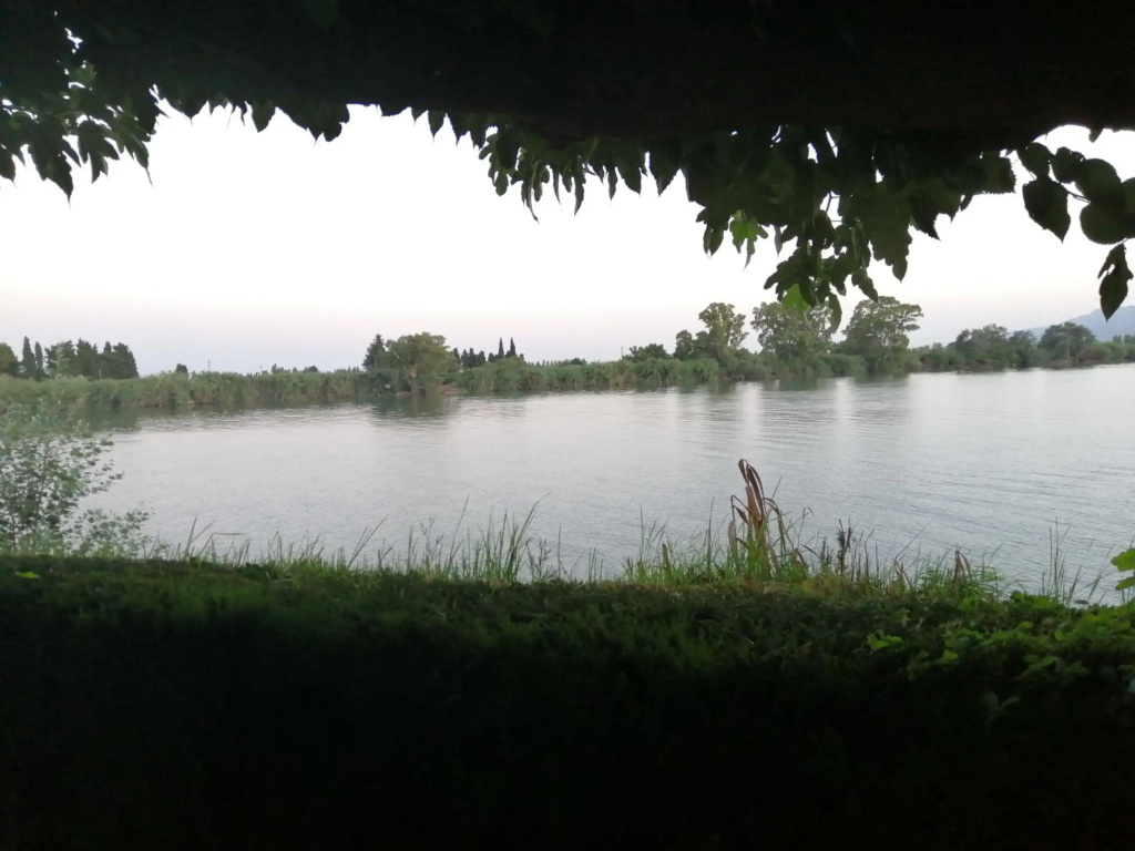 Somnis del Delta