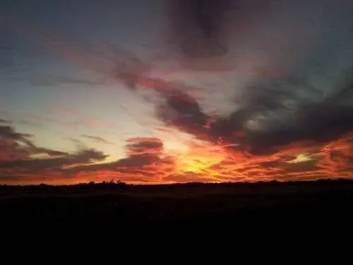 Swan Valley