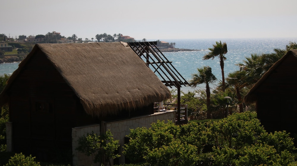 Hotel photo 48