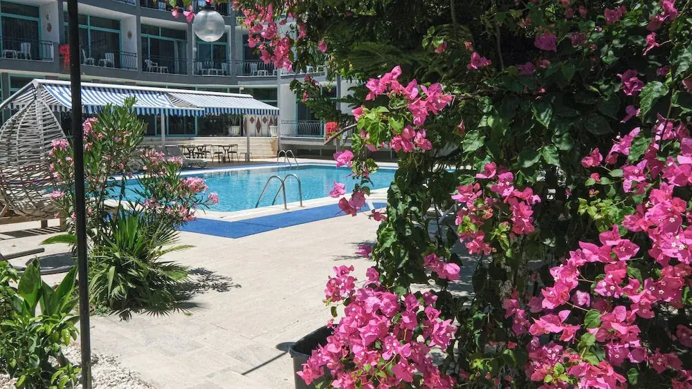 Hotel photo 11