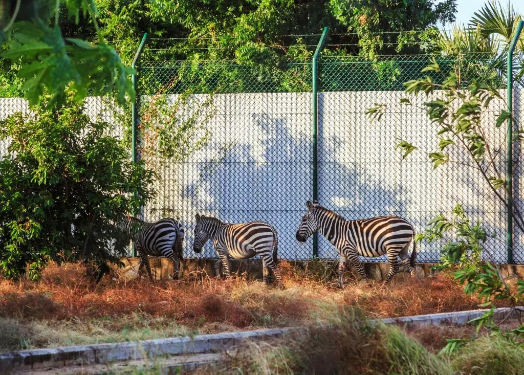 Aya Sophia Villa Garden Hotel