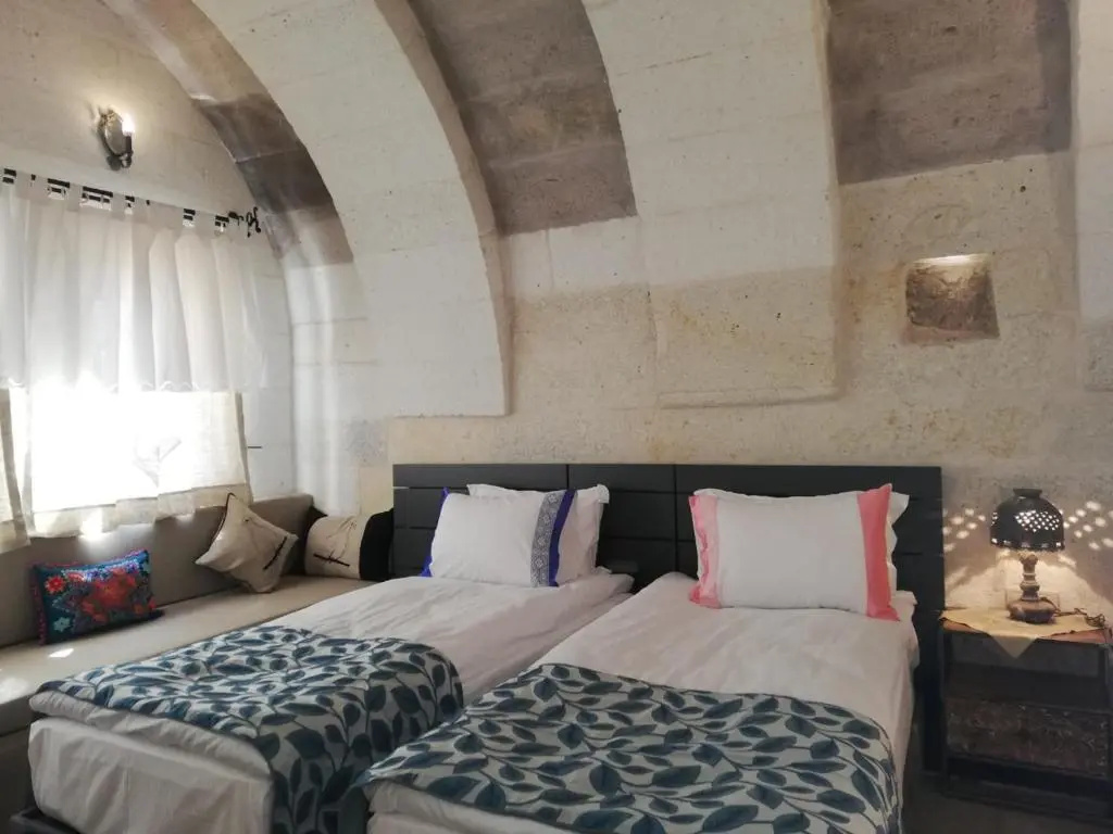 Standard Double room with mountain view (full double bed)