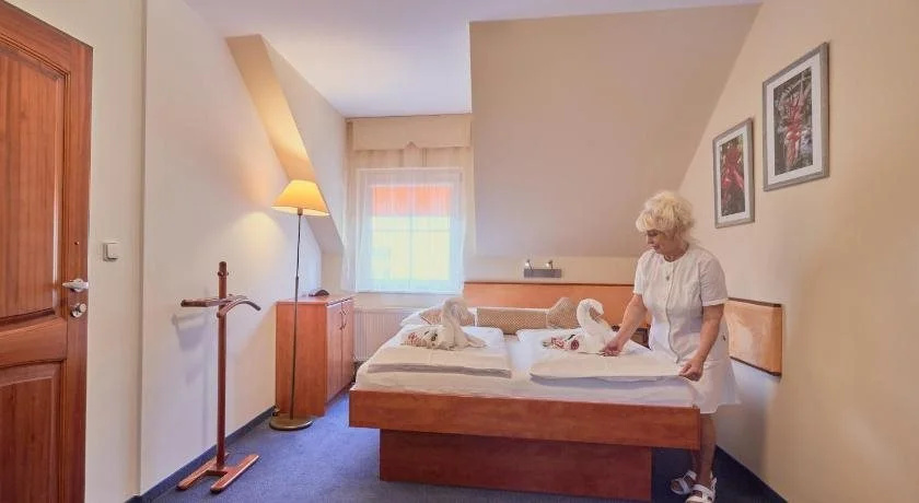 Francis Spa Hotel - Général